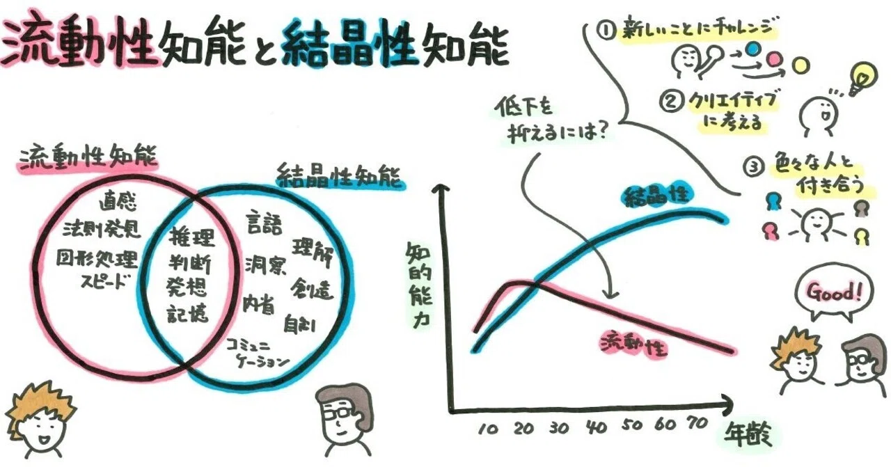 流動 性 知能 と は