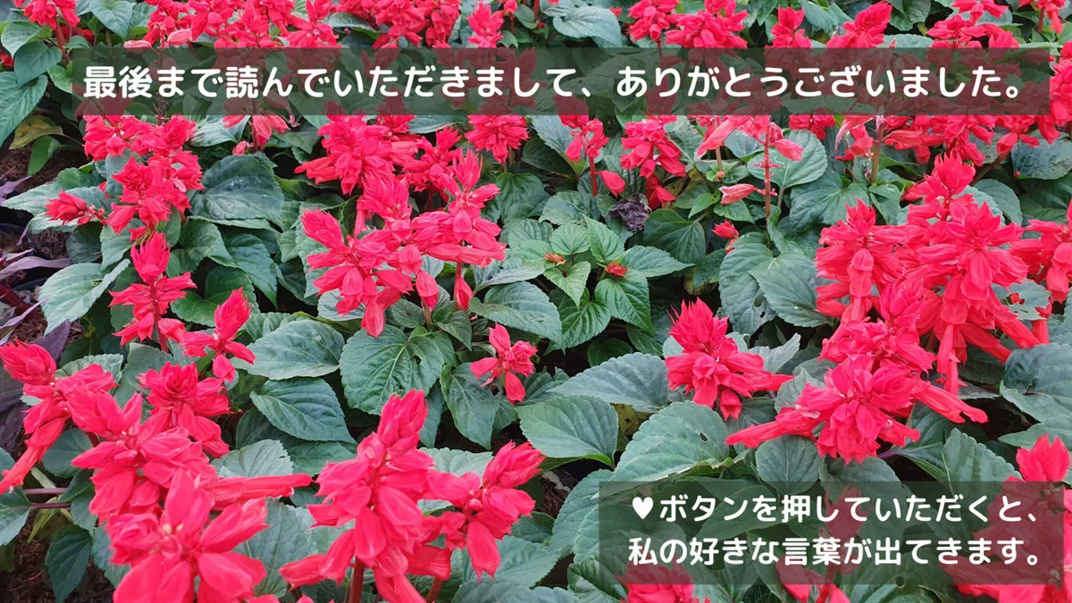 最後まで読んでいただきまして、ありがとうございました。 (2)