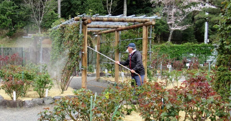 令和3年3月27日 土 バラの消毒 2回目 伊勢の神宮ばら園 Note