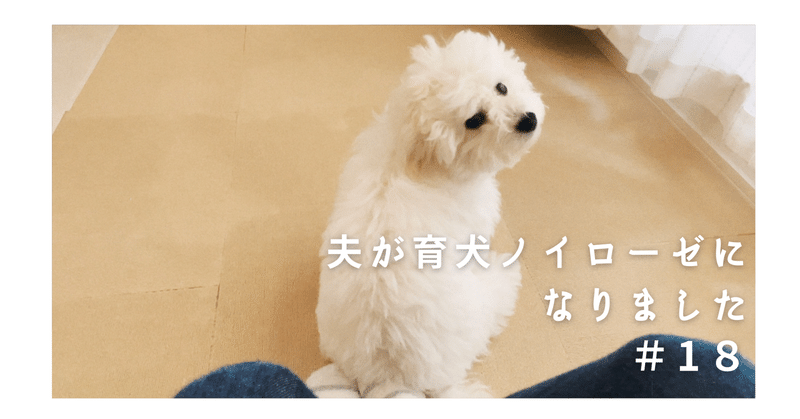 夫が育犬ノイローゼになりました ボナママ Note 夫が育犬ノイローゼになりました ボナママ Note