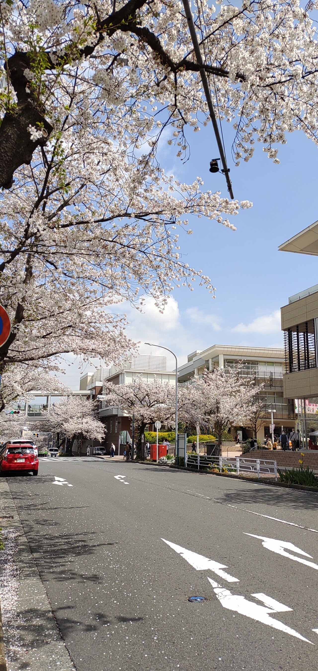 Rakuten Handカメラのhdr性能 たまプラーザ駅前 Yummy Note Rakuten Handカメラのhdr性能 たまプラーザ駅前 Yummy Note