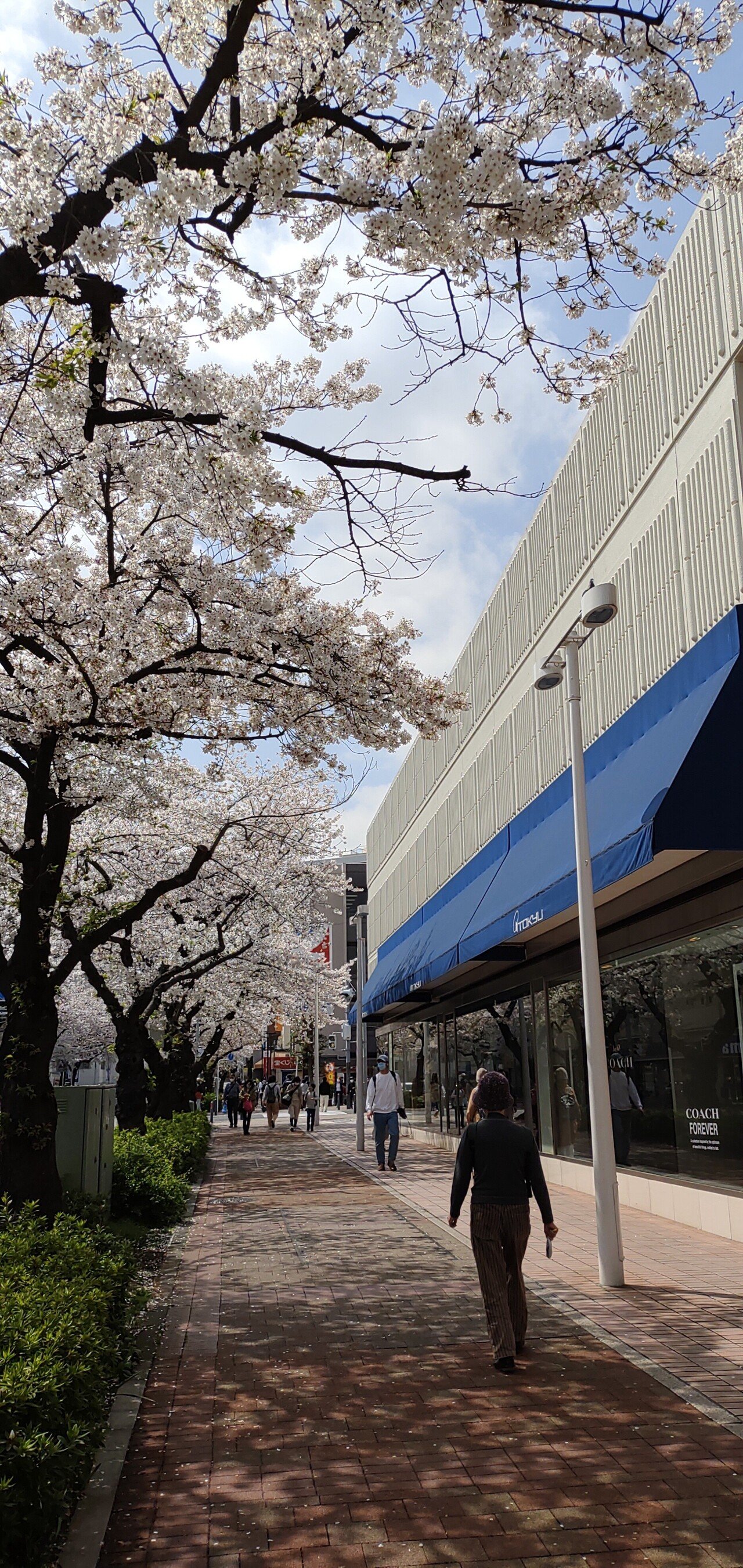 Rakuten Handカメラのhdr性能 たまプラーザ駅前 Yummy Note Rakuten Handカメラのhdr性能 たまプラーザ駅前 Yummy Note