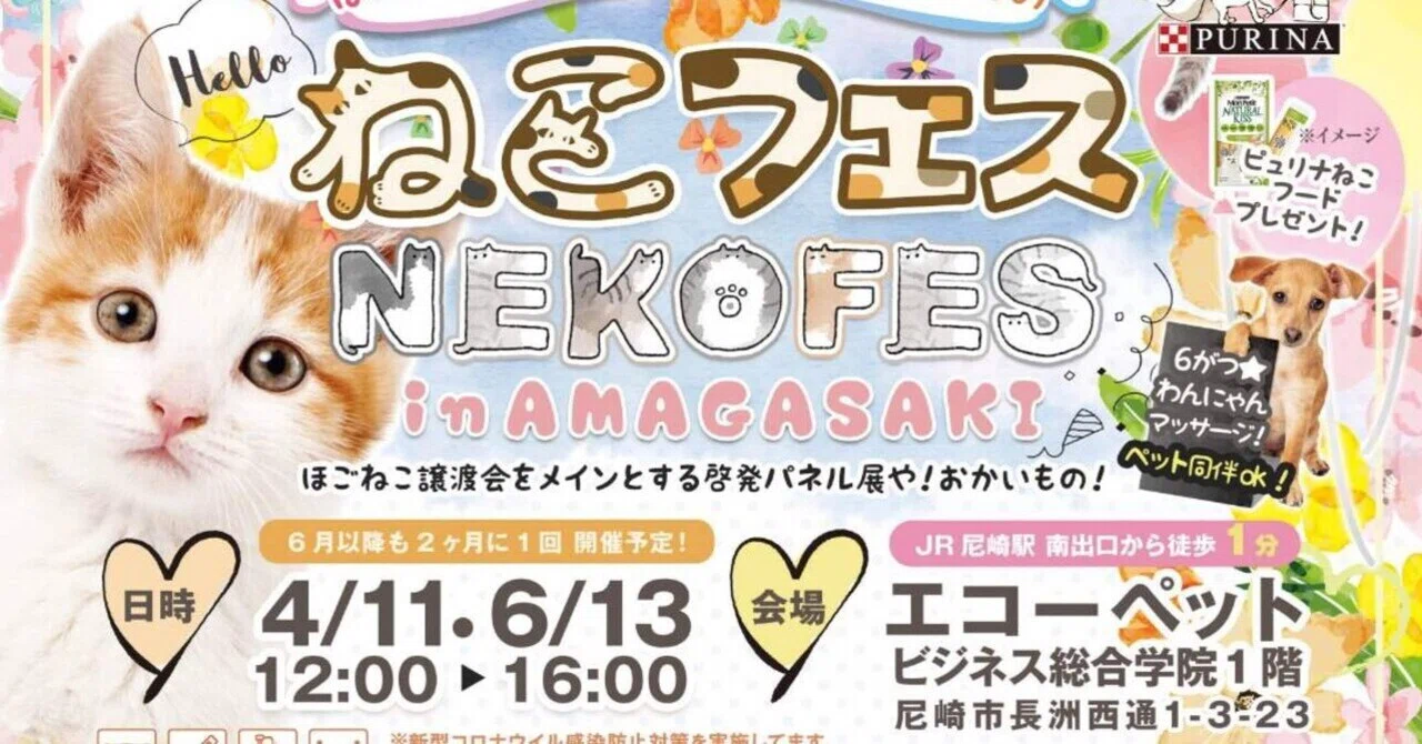 猫フェス」の新着タグ記事一覧｜note u2015u2015つくる、つながる、とどける。
