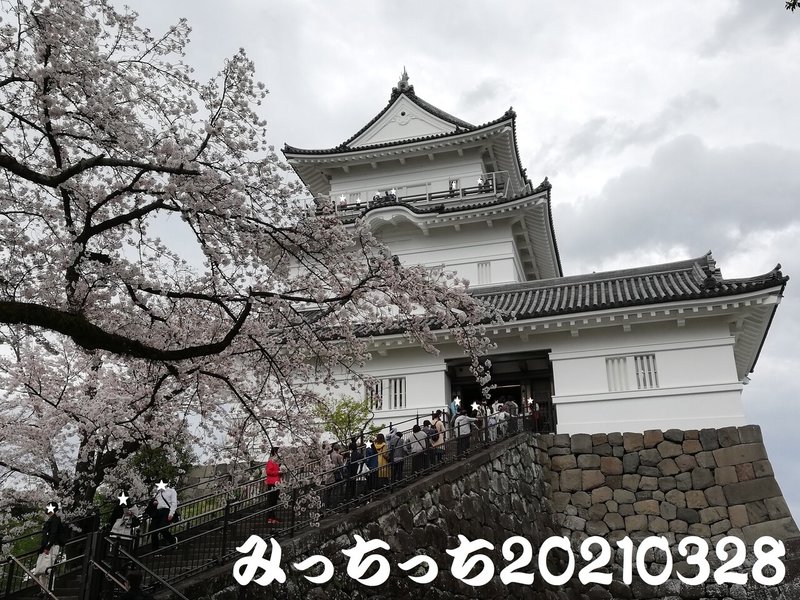 20210328お城と桜入場