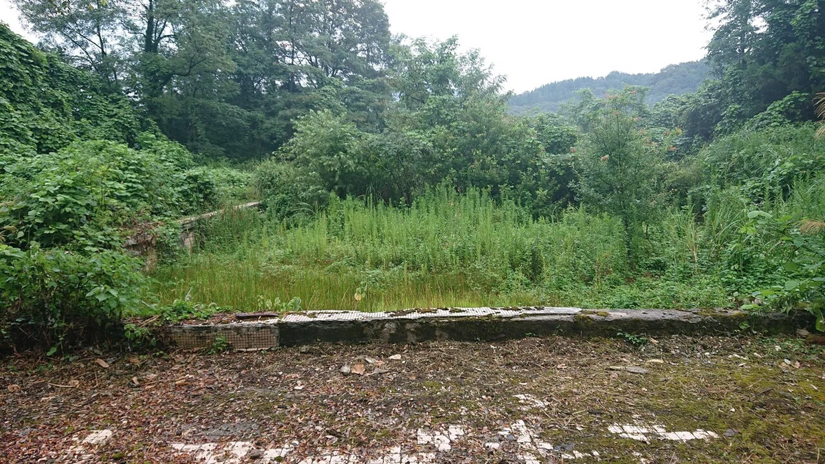 画像21
