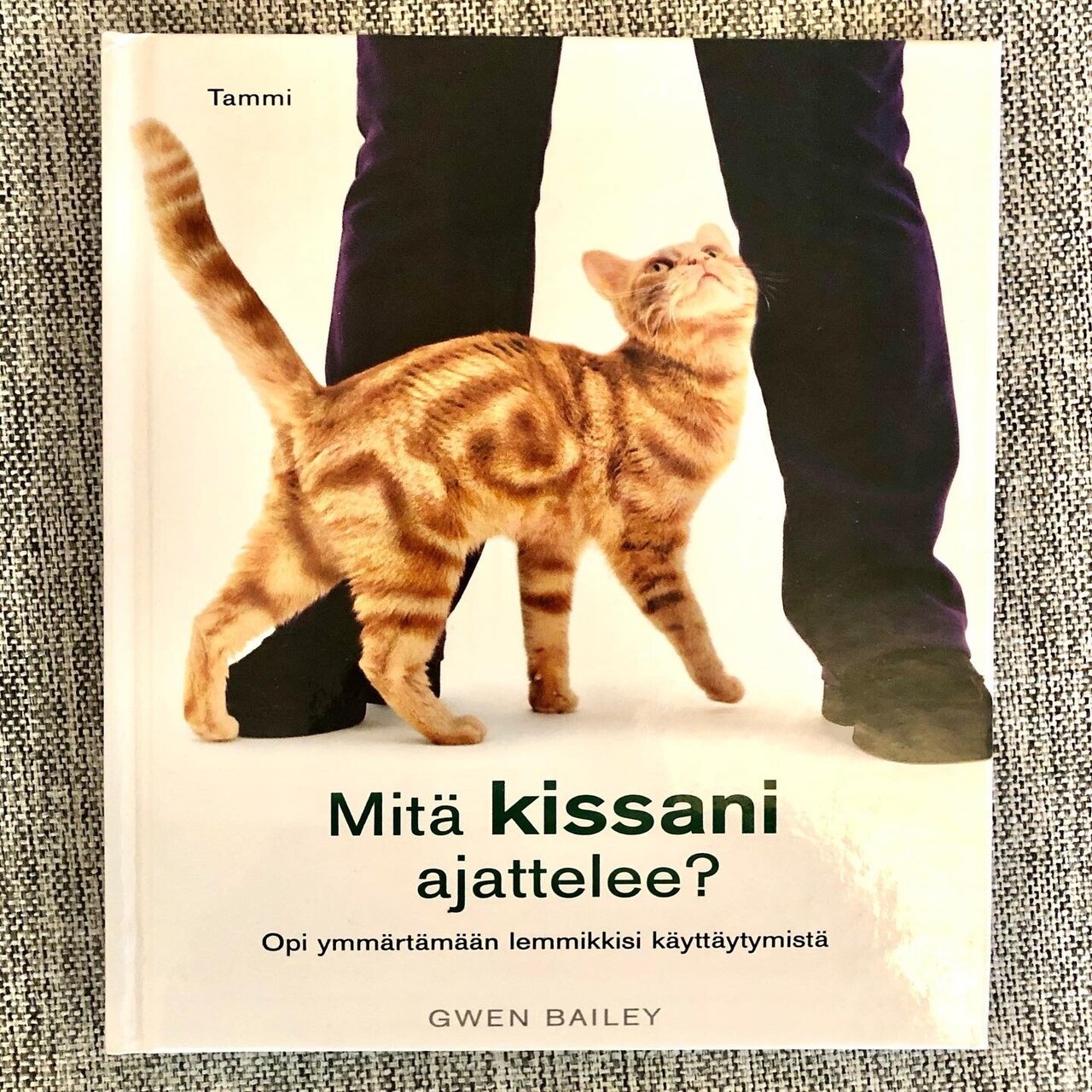 見て覚えるフィンランド語 5 猫は Kissa 何をは Mita 考えるは Ajatella 北欧で芸人 Gen Takagi これもリアルな フィンランド Note