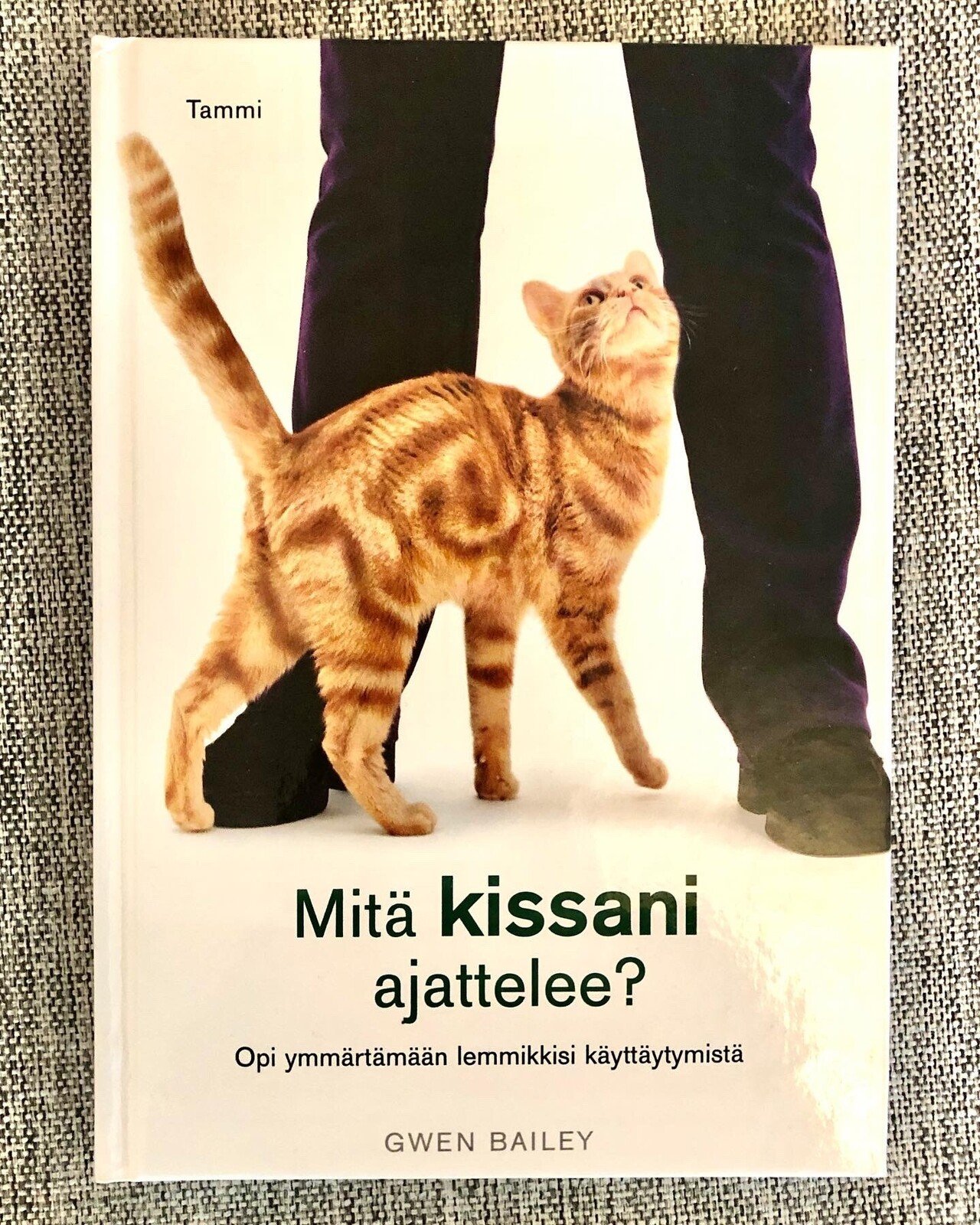 見て覚えるフィンランド語 5 猫は Kissa 何をは Mita 考えるは Ajatella 北欧で芸人 Gen Takagi これもリアルな フィンランド Note 見て覚えるフィンランド語 5 猫は Kissa 何をは Mita 考えるは Ajatella 北欧で芸人 Gen Takagi これもリアルな フィンランド Note