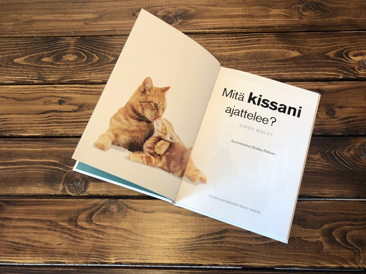 見て覚えるフィンランド語 5 猫は Kissa 何をは Mita 考えるは Ajatella 北欧で芸人 Gen Takagi これもリアルな フィンランド Note 見て覚えるフィンランド語 5 猫は Kissa 何をは Mita 考えるは Ajatella 北欧で芸人 Gen Takagi これもリアルな フィンランド Note