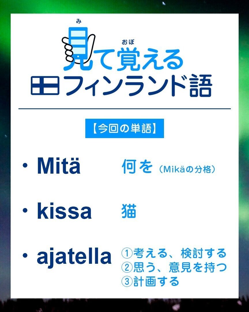見て覚えるフィンランド語 5 猫は Kissa 何をは Mita 考えるは Ajatella これもリアルなフィンランド Note