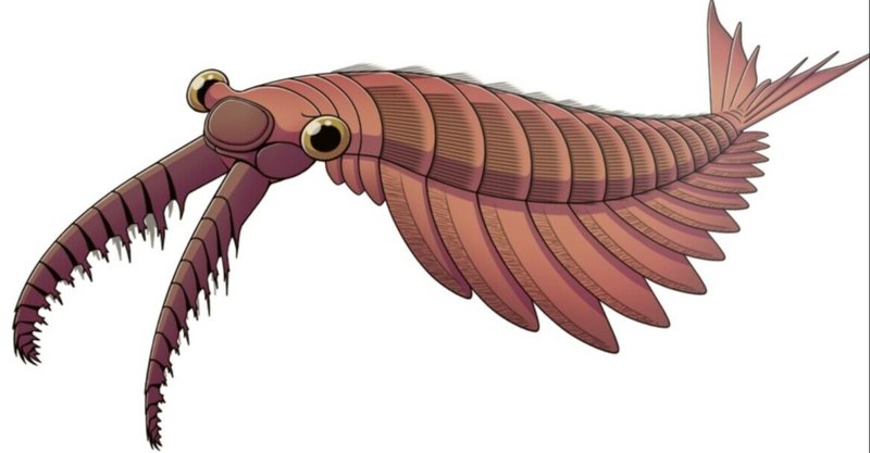 生物の実験場となったカンブリア爆発はなぜ起こったのか 佐藤基 Note 生物の実験場となったカンブリア爆発はなぜ起こったのか 佐藤基 Note