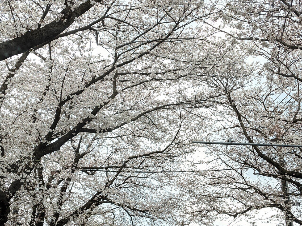 瞑想日記17 朝時間がなくてクラスの前に少し座った 最近 アジュナチャクラに意識を向けて集中すると ものすごく広がるというか 没頭する感覚になる 少し怖いくらいだ 瞑想中にイメージが現れることもある ジ 川添明子 ヨーガ指導者 Note 瞑想日記17 朝時間がなくてクラスの前に少し座った 最近 アジュナチャクラに意識を向けて集中すると ものすごく広がるというか 没頭する感覚になる 少し怖いくらいだ 瞑想中にイメージが現れることもある ジ 川添明子 ヨーガ指導者 Note
