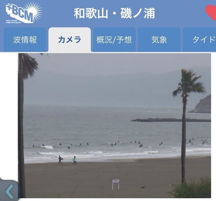 3 28 磯ノ浦 サーフィン かめ Note