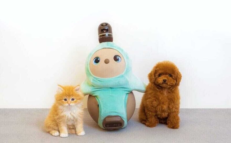 終了 3 26 金 4 25 日 埼玉の方必見 ペットショップ ペットプラス に Lovot が仲間入り Lovot