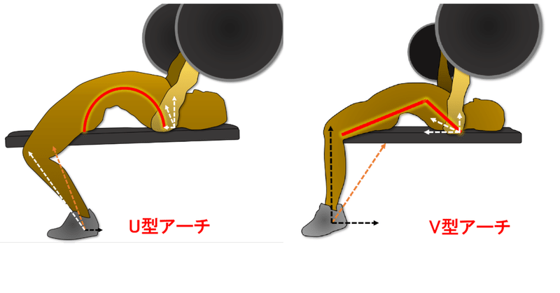 ベンチプレスにおけるV型アーチとU型アーチの物理特性