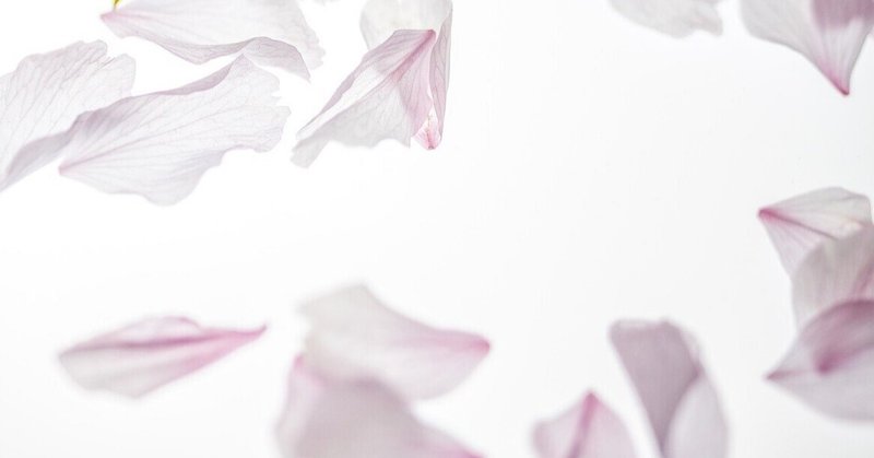 日本の花の 散る を愛でる あべりか イメージコンサルタント Note 日本の花の 散る を愛でる あべりか イメージコンサルタント Note