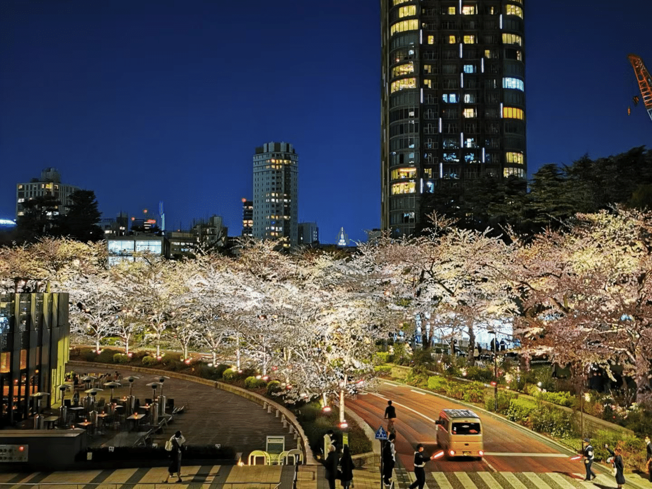 千葉の夜桜 Newbraiton Note