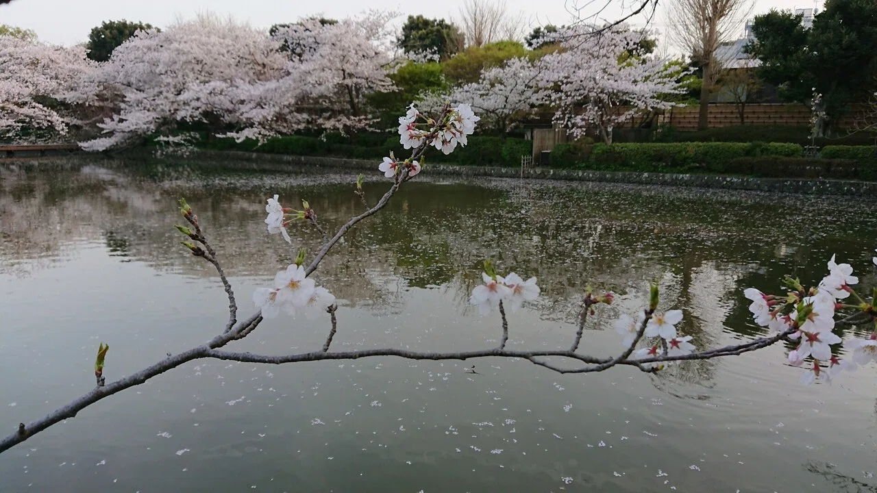 画像3