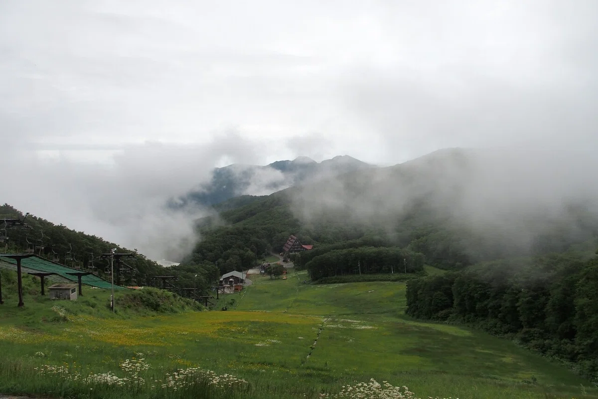 画像10