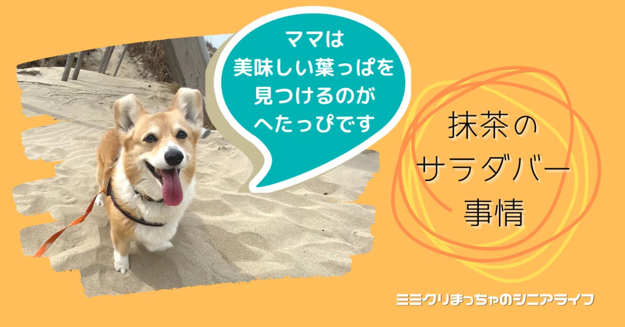 抹茶のサラダバー事情 たばたまき Note 抹茶のサラダバー事情 たばたまき Note