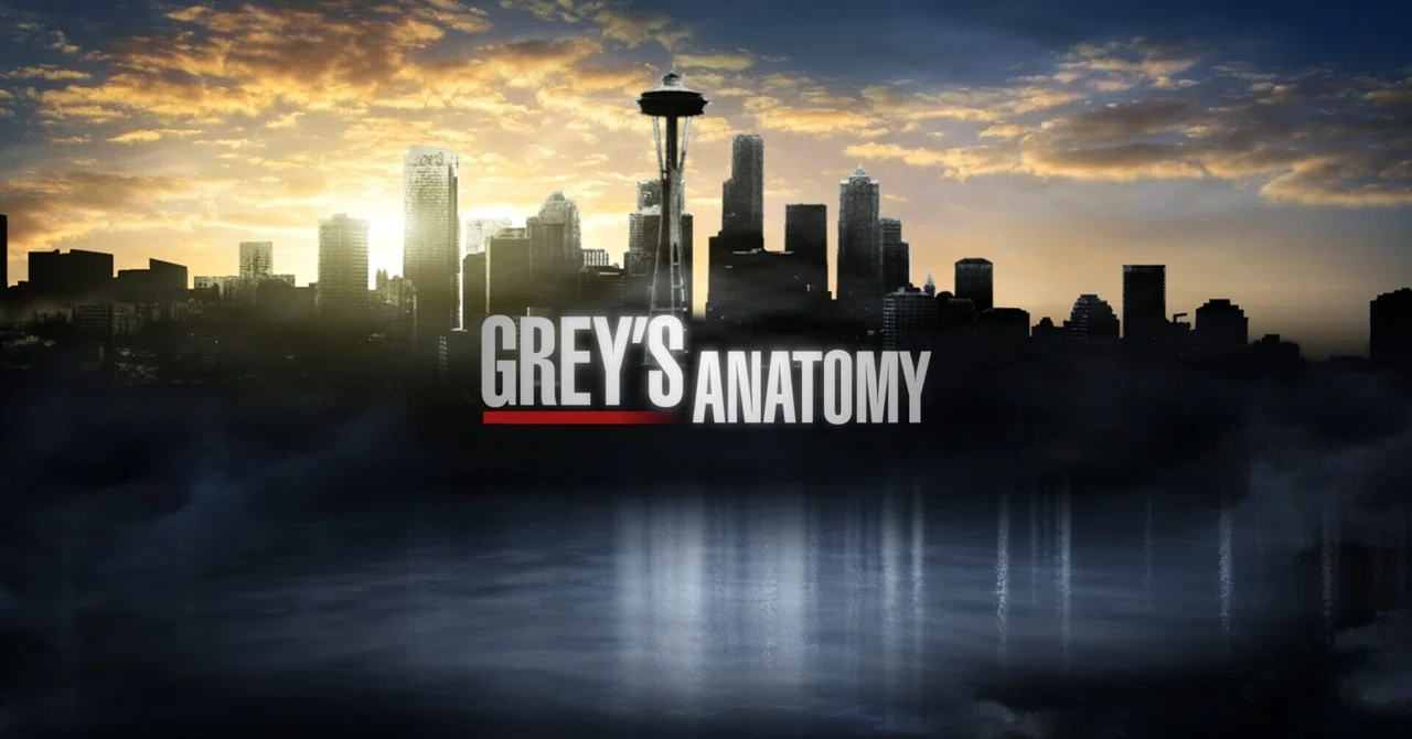 Grey's Anatomy Saison 17 Episode 10 Vostfr