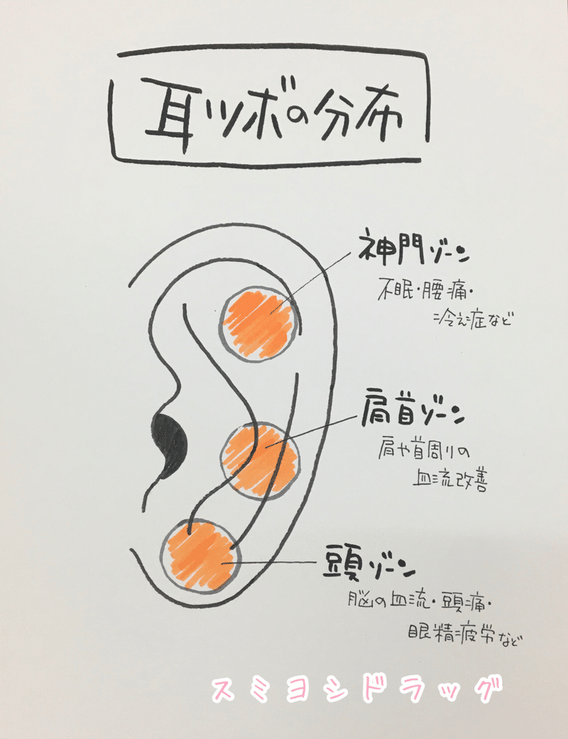 耳ツボと自律神経 スミドラのつづり言 S Blog Note 耳ツボと自律神経 スミドラのつづり言 S Blog Note