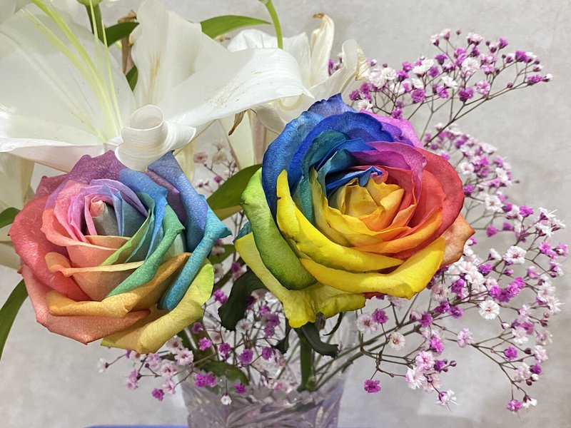 レインボーローズの花言葉は 杉本 幸江 Note