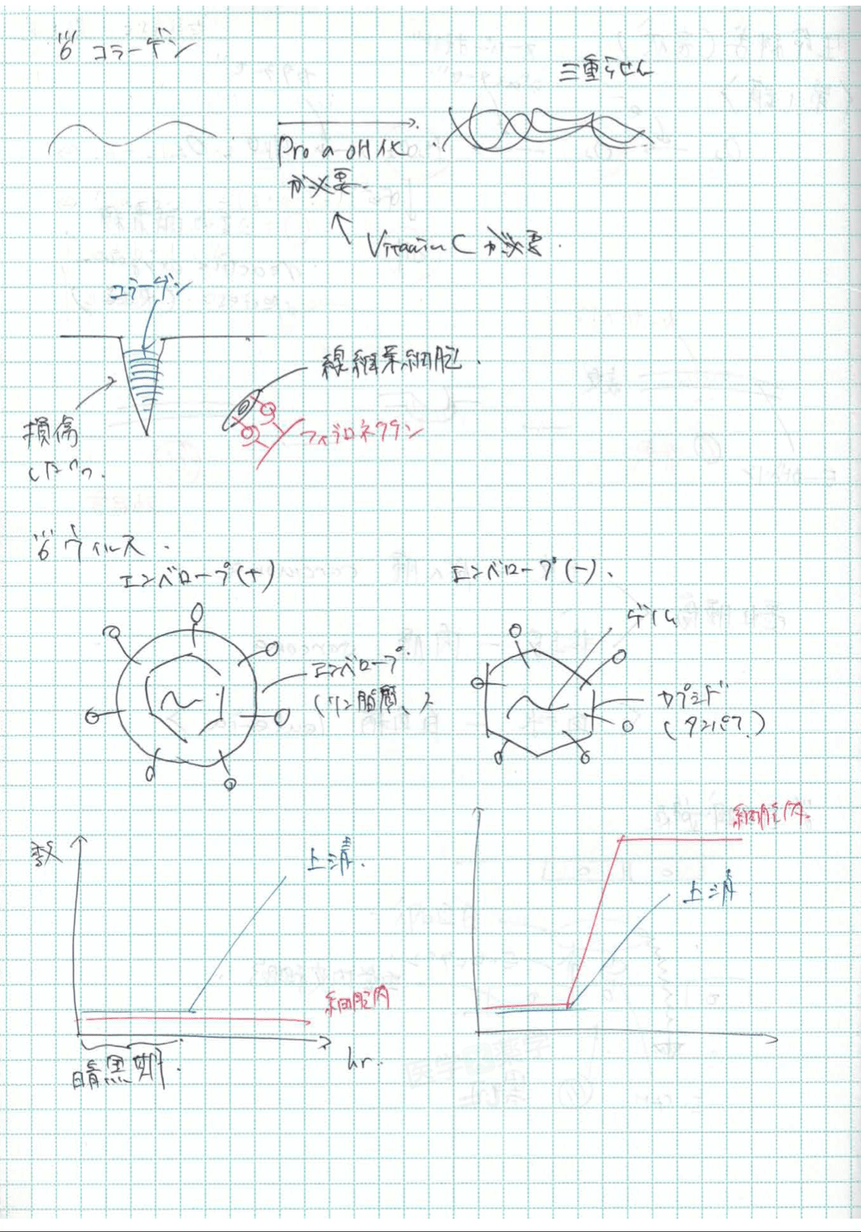 kals 生命科学2025年度版 教材板書ノートコピー
