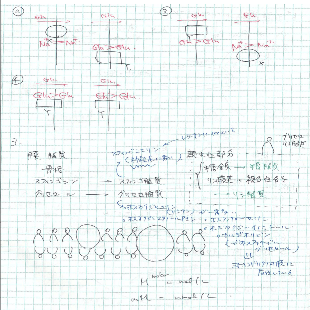 kals　生命科学2025年度版　教材板書ノートコピー kals生命科学2025年度版教材板書ノートコピー