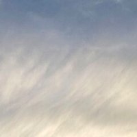 奸佞邪智と潺々とまっぱだか 鈴木秀之 Note