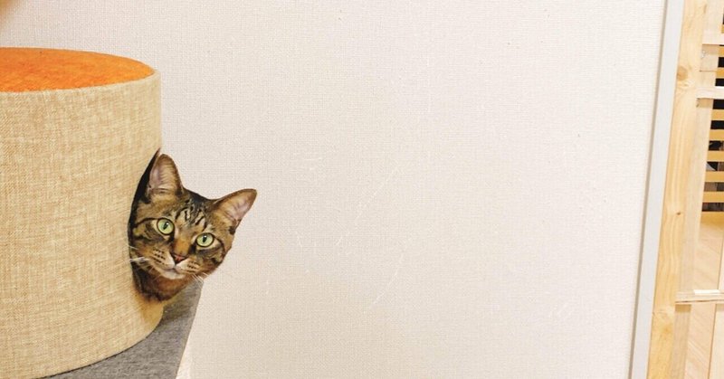 あざとい猫ちゃん Minco Note あざとい猫ちゃん Minco Note