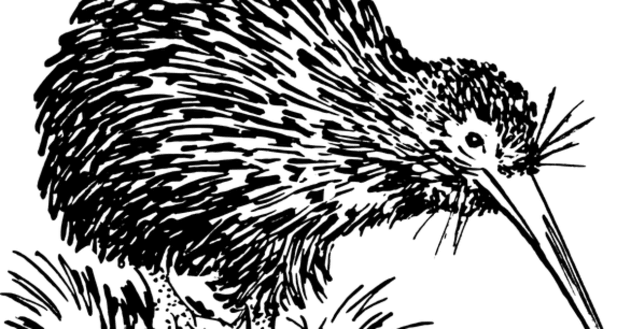 はじめて をえらぶとき 飛ばない鳥キーウィ 馬場香織 Note