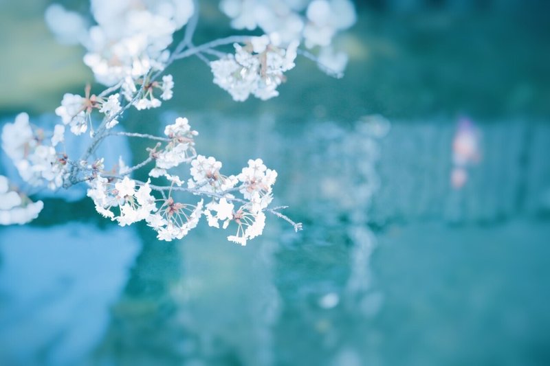 何かを始めてみたくなる４月 勇気をもらうための四文字熟語と写真の待ち受け 古性のち Note
