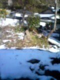 雪が溶けて [2007年02月03日（Sat）]1