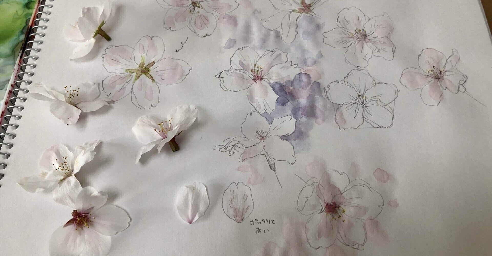 メモオフ 伊吹みなも シナリオ考察 佐島楓 Note メモオフ 伊吹みなも シナリオ考察 佐島楓 Note