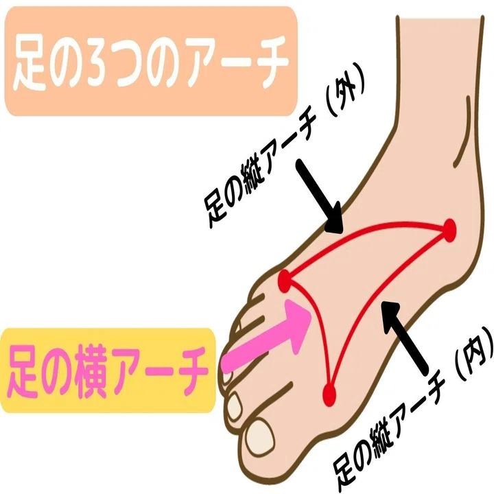 その場でできる 浮き指エクササイズ コバ靴店 こば Note
