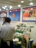 春の展示会 [2007年02月21日（Wed）]2