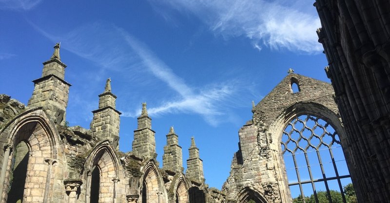 書評 植物と叡智の守り人 樹山 瞳 note