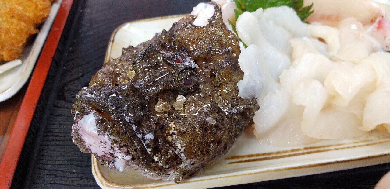 オコゼ Devil Stinger 東京都中央卸売市場 足立市場内とくだ屋 魚介馬鹿一代 Fish Nerd Life Note