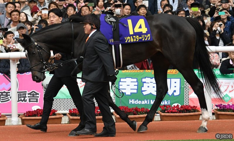 ソウルスターリング桜花賞