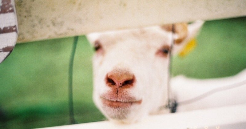 ある苗字にまつわるお話 愛媛県東温市 東温市 愛媛県