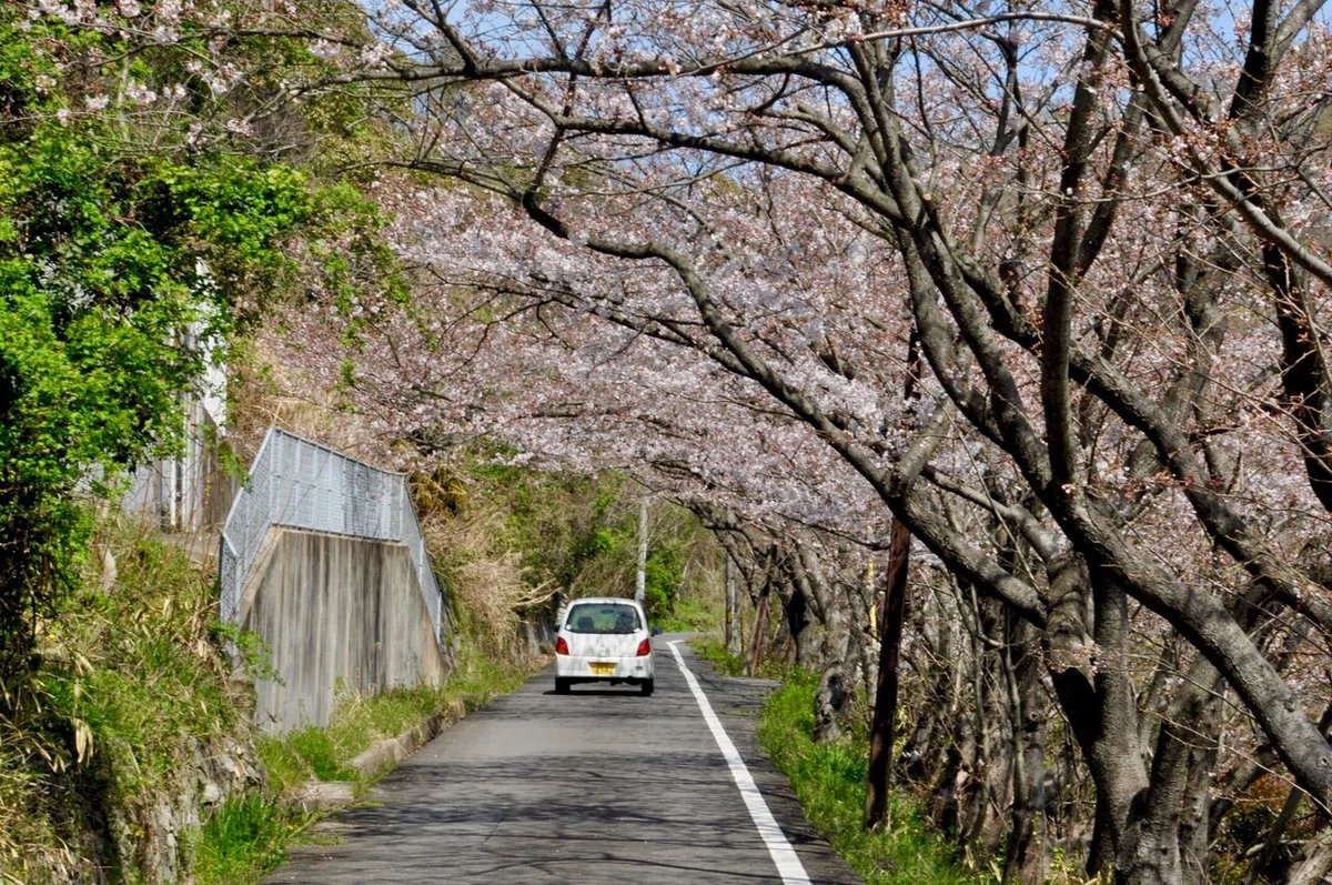 画像2