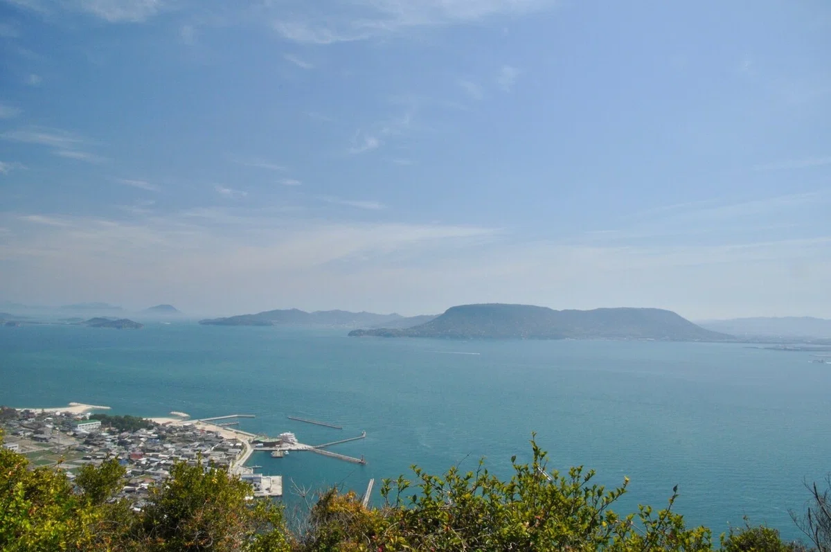 画像4