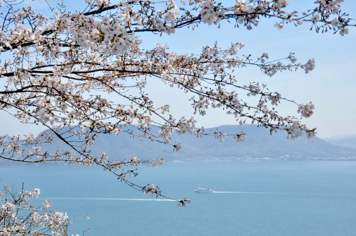 画像6