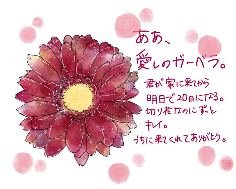 Adobe Frescoで愛しの長生きガーベラを描きました 尾崎レミ 本書き ソラニエ Note