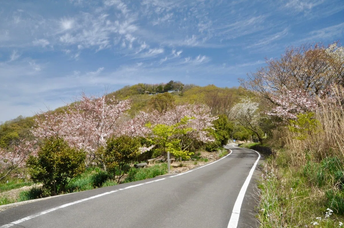 画像9