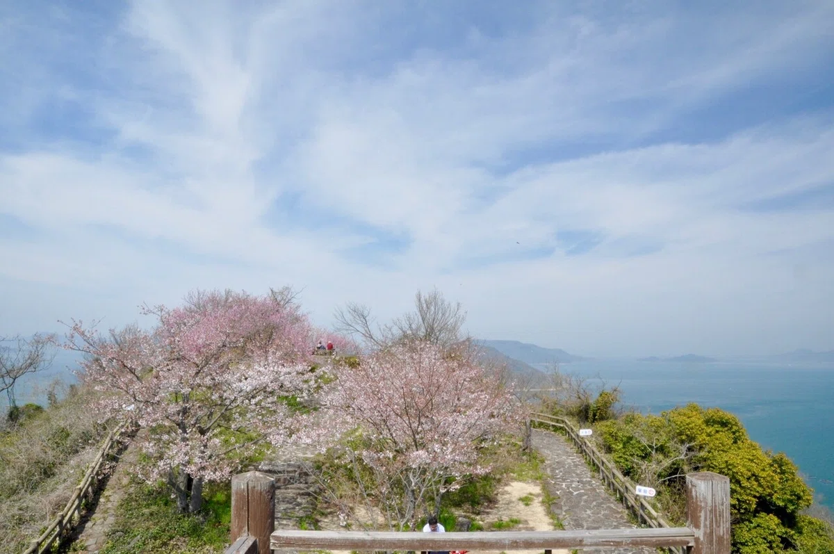 画像10