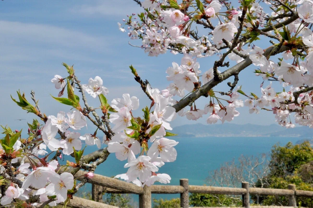 画像12