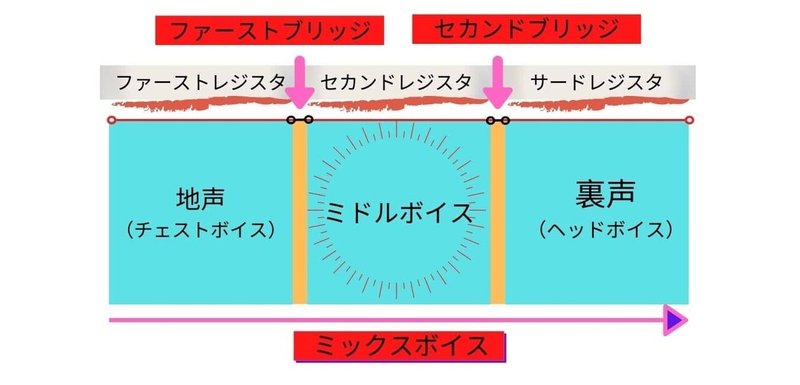 声区の解説-min