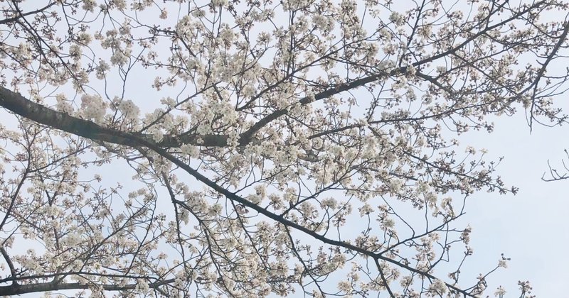 定年退職 花 Note 定年退職 花 Note
