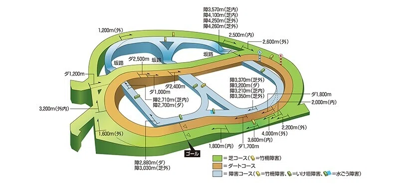 2021年 ダービー卿チャレンジトロフィーの簡単な血統分析 Crusher Note
